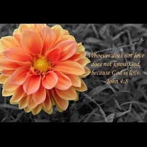 Meet your Posher, Jodi